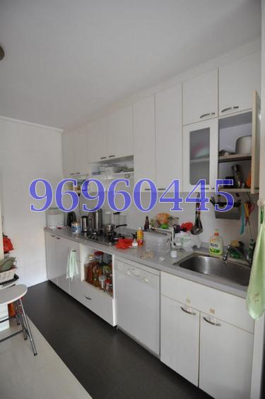 Blk 113 Clementi Street 13 (Clementi), HDB 4 Rooms #109117342